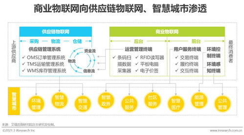 2021年中国商业物联网行业研究报告 应用软件服务的演进与未来趋势